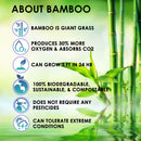 Boonboo Dental Floss | 100FT Bamboo Fiber & Mint Flavor | Glass Bottle & Cutting Lid | Biodegradable & Sustainable | Plastic- Free Synergy Products
