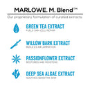 MARLOWE. No. 121 Facial Cleanser for Men 6oz | Daily Face Wash with Natural Extracts & Antioxidants | Soothes, Purifies, Refreshes | Thick Lather, No More Dry MARLOWE. M BLEND