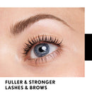 COVERGIRL Lash Blast Lash & Brow Transparent Serum, TRANSLUCENT, 0.44 Fl Oz COVERGIRL