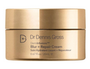 Dr Dennis Gross DermInfusions Blur + Repair Cream, Instantly Blurs Fine Lines, Smooths Skin with Satin-Matte Finish, Visibly Plumps & Firms & Improves Skin Elasticity, 0.67 Fl Oz Infinity Warehouse