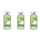 Bath and Body Works 2 Pack Foaming Hand Soap Peach Bellini. 8.75 Oz Infinity Warehouse