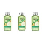 Bath and Body Works 2 Pack Foaming Hand Soap Peach Bellini. 8.75 Oz Infinity Warehouse