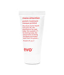 EVO Mane Attention Protein Treatment ACE