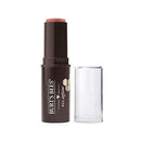 BURTS BEES Peach Pond All Aglow Lip & Cheek Stick, 0.32 OZ Burt's Bees
