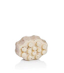 Dead Sea Anti-Cellulite Massage Soap by Jericho Cosmetics - 5.3 oz! Jericho