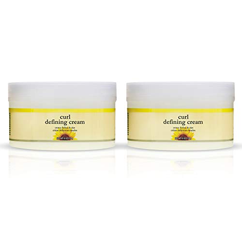 Jane Carter Solution Curl Defining Cream (6oz) - Reduce Frizz, Nourish, Lightweight (Pack of 2) Jane Carter Solution