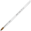 PANA Professional Salon Quality 100% Pure Kolinsky Hair Bristles Acrylic Nail Brush with Clear Acrylic Handle (Size
