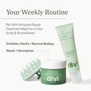 Divi Clarifying Scalp Reset Shampoo and Whipped Repair Treatment Mask Set, Deep Cleansing, Oil Control, Bond Repair, Full Size, 2 Piece Set Infinity Warehouse