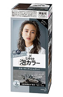 KAO Prettia Bubble Hair Color, 0.5 Pound (0.5 Pound, Smokey Ash Gray) Kao