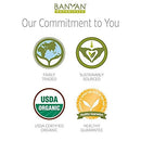 Banyan Botanicals Daily Swish Cinnamon â Organic Ayurvedic Oil Pulling Mouthwash with Coconut Oil â for Oral Health, Teeth, & Gums* â 8oz â Non GMO Sustainably Sourced Vegan Banyan Botanicals