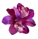 Large Pink Cymbidium Orchid Hair Flower Clip Hair Flowers