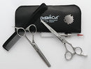 DreamCut 6" Professional Hair Scissors and Thinning Shears 440C Japanese Stainless Steel Kit DreamCut