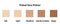 Tinted Face Primer Broad Spectrum SPF 20 - Demi-Matte Finish - Brightens Provides Anti Wrinkle Benefits - and Protects the Skin From Harm UV Rays - Leaving the Complexion Smooth (Medium) ProBeautyCo