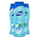 Dial Body Wash, Spring Water with All Day Freshness, 21-Fluid Ounces (Pack of 3) Dial