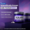 PHM NAD Resveratrol Supplement - 10,000MG Extra Strength | NAD+ Liposomal Supplements for Men and Women | NMN & NMNH Alternative | 90 Capsules, 1.5 Months Supply Infinity Warehouse