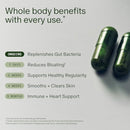 Seed DS-01 Daily Synbiotic - Prebiotic and Probiotic for Women & Men - Digestive Health, Gut Health, Immune Support, Bloating & Constipation Relief - Vegan & Shelf-Stable - 60 Capsules (30-Day Supply) Infinity Warehouse