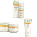 Burts Bees Daily Face Moisturizer for Sensitive Skin with Night Cream for Sensitive Skin and Face Cleanser for Sensitive Skin Burt's Bees
