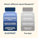 Blueprint Bryan Johnson Essential Capsules - Daily Multivitamin/Multimineral for Women and Men - Antioxidant Supplement with Calcium, Vitamin B1, Vitamin D, and Zinc - Vegan and Non GMO (30 Servings) Infinity Warehouse