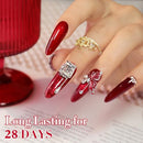 Double Rhythm 6 Pcs 15 ML Gel Polish Set Same Color Same Bottle Soak Off Gel Polish Kit Nail Art Manicure Salon DIY at Home for Women (Jelly Burgundy Red Glitter Silver -T6-56) Infinity Warehouse