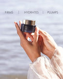 MARA - SeaDream Firming Algae Creme Moisturizer with Sea Moss + Peptides | Rich, Overnight, Anti-Aging Cream to Firm, Hydrate + Plump, For All Skin Types (1.7 fl oz | 50 ml) Infinity Warehouse