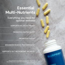 Blueprint Bryan Johnson Essential Capsules - Daily Multivitamin/Multimineral for Women and Men - Antioxidant Supplement with Calcium, Vitamin B1, Vitamin D, and Zinc - Vegan and Non GMO (30 Servings) Infinity Warehouse