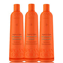 Richée Professional Argan and Ojon 3x1/3x33.8 fl.oz Liter Trio Kit Richee Professional