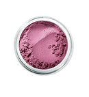 BareMinerals All Over Face Powder, Color Glee, 0.05 Ounce bareMinerals