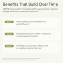 Seed AM-02 Energy + Focus - Daily Nootropic Supplement for Women & Men - Fast-Acting & Sustained Energy for Up to 6 Hours - Caffeine-Free Vegan & Shelf-Stable - 30 Capsules (30-Day Supply) Infinity Warehouse