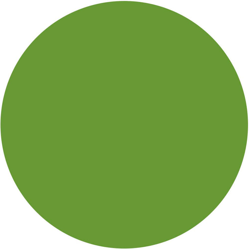 Mehron Makeup CreamBlend Stick - Body Paint (.75 oz) (Green) Mehron