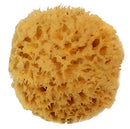 Natural Sea Wool Sponge 4-5" by Spa Destinations ® Amazing Natural Renewable Resource"Creating The in Perfect Bath and Shower Experience" 100% Satisfaction Guarantee! Spa Destinations