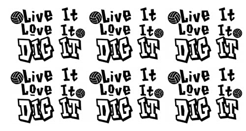 Volleyball Softball Gift for Girls Team Player Temporary Tattoo Pack of 24 (Volleyball) Daisy Lane