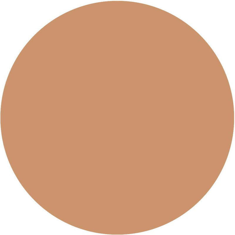 Mehron Makeup CreamBlend Stick - Foundation (.75 oz) (Medium Dark 3) Mehron Store