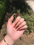 Nude coffin Extra long Coffin Press on false Nails- 20pcs ALLKEM