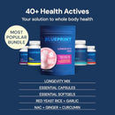 Blueprint Bryan Johnson Essential Capsules - Daily Multivitamin/Multimineral for Women and Men - Antioxidant Supplement with Calcium, Vitamin B1, Vitamin D, and Zinc - Vegan and Non GMO (30 Servings) Infinity Warehouse