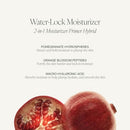 Tata Harper Water-Lock Moisturizer, Lightweight Gel Cream, Lightweight Moisturizer for Instantly Smooth Skin, Natural Skincare, Natural Face Cream Infinity Warehouse