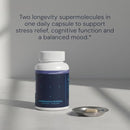 Blueprint Bryan Johnson Ashwagandha & Rhodiola Supplement – 120mg Ashwagandha + Rhodiola Root – Daily Adaptogen Capsules for Stress Support, Mood Balance, Energy & Focus – 30 Vegan Capsules Infinity Warehouse