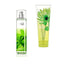 Bath and Body Works - Signature Collection – WHITE CITRUS- Gift Set- Fine Fragrance Mist 8 FL Oz & Ultra Shea Body Cream Bath & Body Works