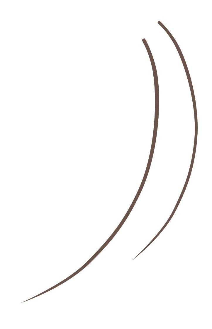 Rimmel Rimmel brow pro micro 24hr stroke pen in 003 soft brown, 0.31 Ounce Rimmel