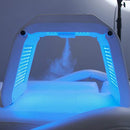 PDT LED Light therapy with photons steamer multifunction machine Angrycat