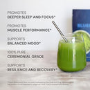 Blueprint Bryan Johnson Matcha Powder – Ceremonial Grade Japanese Matcha – Green Tea for Energy & Focus – Natural Caffeine, Antioxidant-Rich – 30mg L-Theanine- 30 Servings Infinity Warehouse