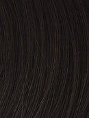 Natural Tone Hair Wrap HT4 Darkest Brown - Christie Brinkley 6" Overall Length Heat Friendly Textured Hairpiece Fun Bun Chignon Hair2wear