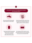 MISSHA Time Revolution Red Algae Revitalizing Serum 40ml MISSHA