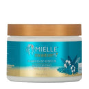 Mielle Organics Moisture Rx Hawaiian Ginger Moisturizing Hair Butter, 12 Ounces Mielle Organics