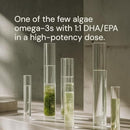 Blueprint Bryan Johnson Omega-3 - Vegan Algae Omega 3 Supplement with EPA/DHA - 800mg Plant-Based for Brain, Heart & Joint Support - High Absorption Triglyceride Form - 1:1 EPA/DHA Infinity Warehouse