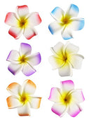 HipGirl 6pc 2.5" Hawaii Hawaiian Flower Clips for Hair Dress. Flower Hair Clips For Women, Match Beach Dress and Hawaiian Dresses for Women (6pc Plumeria Hair Flowers for Women) HipGirl
