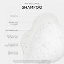 SEEN Shampoo, Fragrance Free - Non-Comedogenic Hair Shampoo- Dermatologist-Developed - Safe for Sensitive, Eczema & Acne Prone Skin Infinity Warehouse