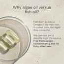 Blueprint Bryan Johnson Omega-3 - Vegan Algae Omega 3 Supplement with EPA/DHA - 800mg Plant-Based for Brain, Heart & Joint Support - High Absorption Triglyceride Form - 1:1 EPA/DHA Infinity Warehouse