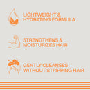 Redken Brews Daily Shampoo For Men, Lightweight Cleanser For All Hair Types ACE