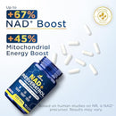 NAD+ Supplement with 500mg NR, Resveratrol, CoQ10, PQQ- 5-in-1 NAD Formula |NMN Supplement Alternative|NAD Resveratrol Support Cellular Energy & Healthy Aging-Made in USA-60 Capsules Infinity Warehouse