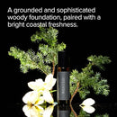 Pure Instinct WANTED The Original Pheromone Infused Essential Oil Perfume Cologne - Men's Collection - TSA Ready (Roll On Bottle 0.34 Fl. Oz./10.2mL) Infinity Warehouse